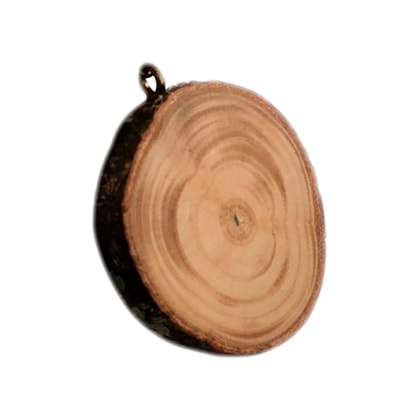 image_a471f242-3f34-4dd1-9fe2-f9ee48d23740