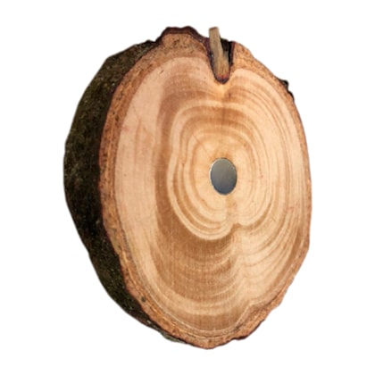 image_0eaa7d51-e02d-4fae-9b02-4d50145012b6