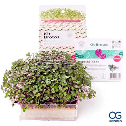 image_ece73b10-396d-44d0-971a-b6e30c1bdcda