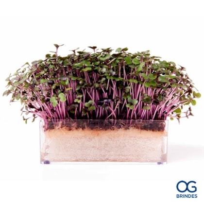 image_85939f38-9426-44ea-b79c-5715658bff2c