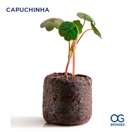 image_84fe3db6-dc90-4418-b3f7-23f17fdfef9a