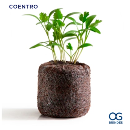 image_9890cdf6-2f5c-4006-8dfb-8ef7f67e576f