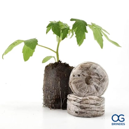 image_fcf9d1f0-f1e2-4c56-abbb-897671a9a549