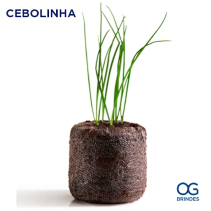 image_a5abecc5-4485-44aa-8d44-c3bf41571b86