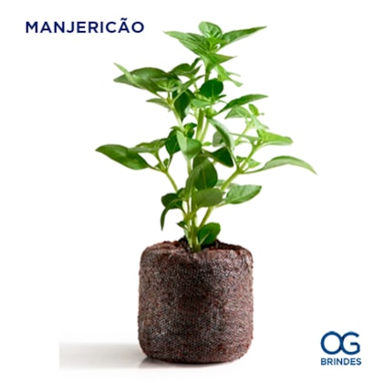 image_39f4c55a-09c8-41ff-ab97-660bc98b4f62