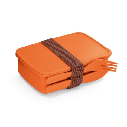 image_868c38d1-3ff6-46ea-83b6-a93e472c9732